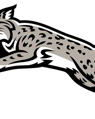 Davidson Wildcats Kansas City
